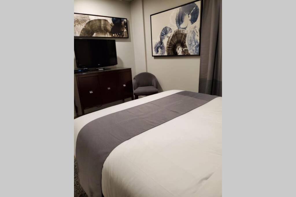 Cozy Sweet Studio #4, Only 10 Min To D.T. Ottawa ガティノー エクステリア 写真